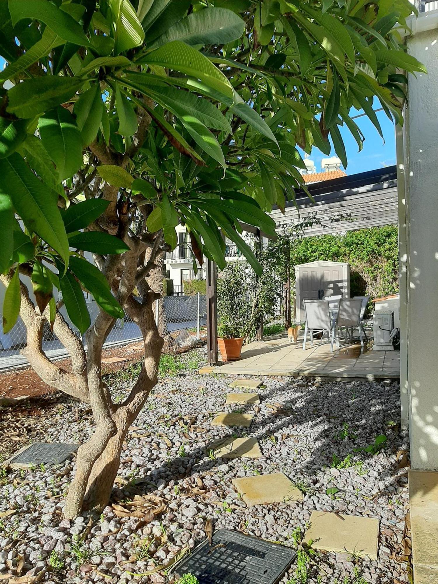 דירות H&O Royal Townhouse In Center Paphos מראה חיצוני תמונה